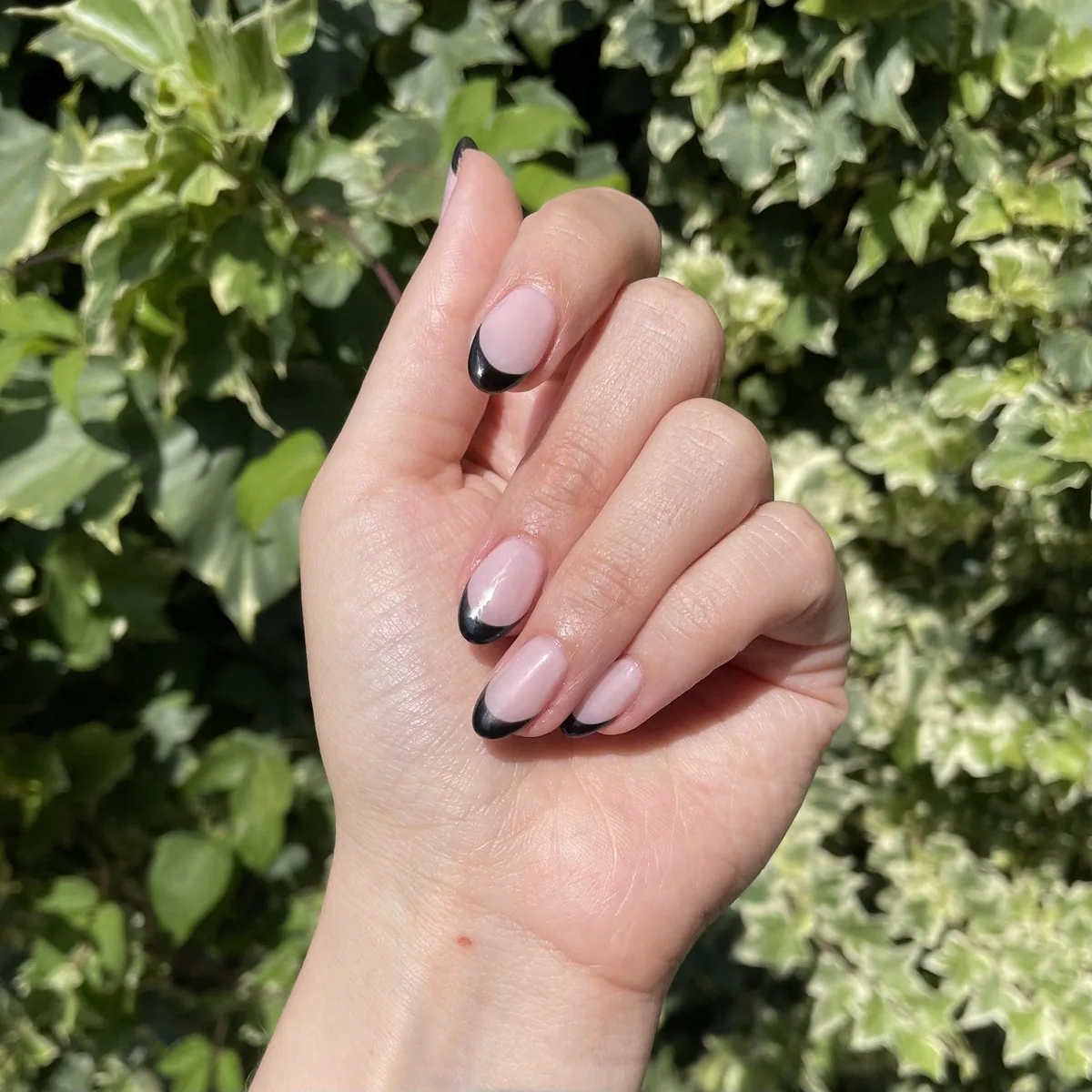 A nude nail set with black French tips, held up outdoors against green foliage